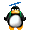 pingouin-helice